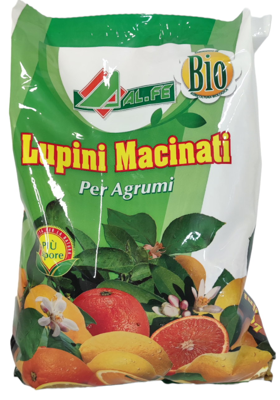 AL.FE Lupini - 1Kg